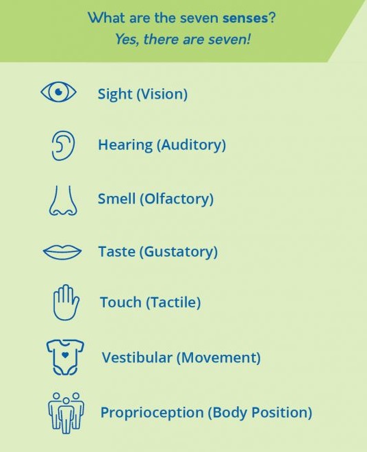 The Seven Senses: Used to achieve mindfulness through meditation.